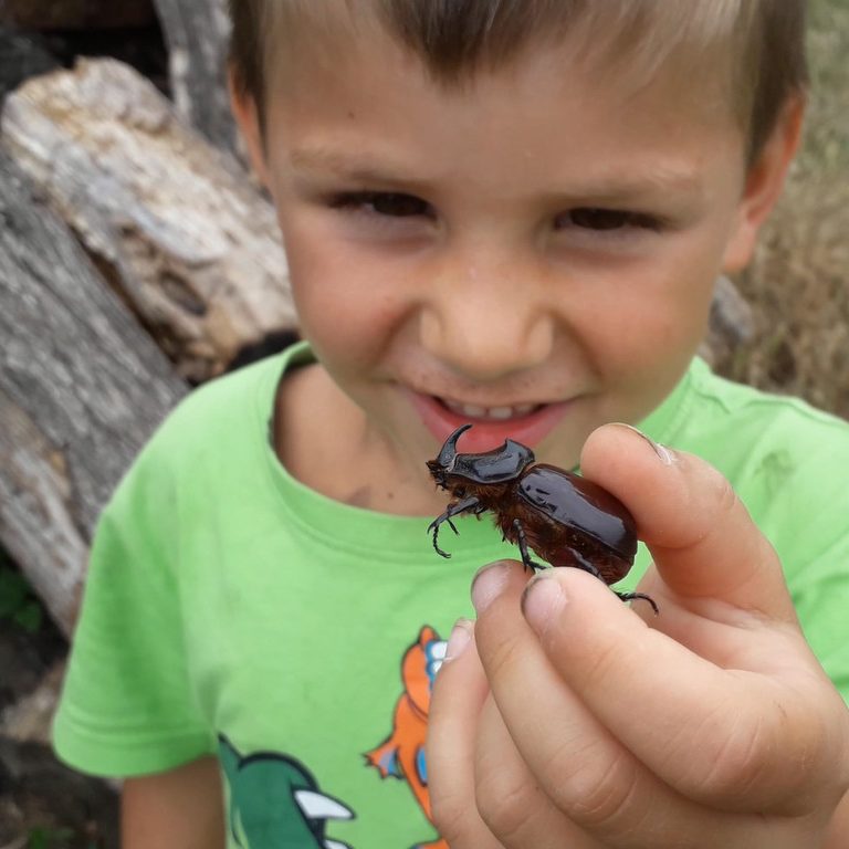 Exkursionen und Workshops für Kinder